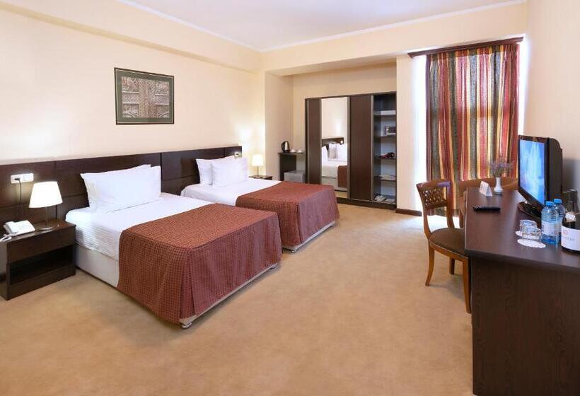 Hotelli Ani Central Inn