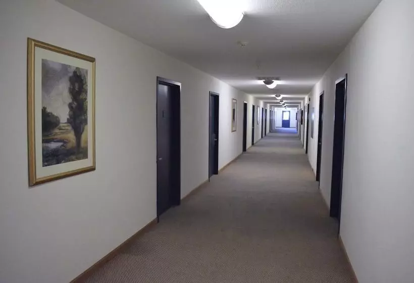 בית מלון כפרי Knights Inn Quincy