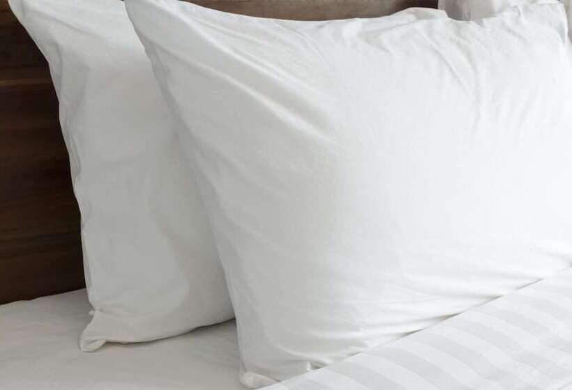 酒店 Knights Inn Quincy