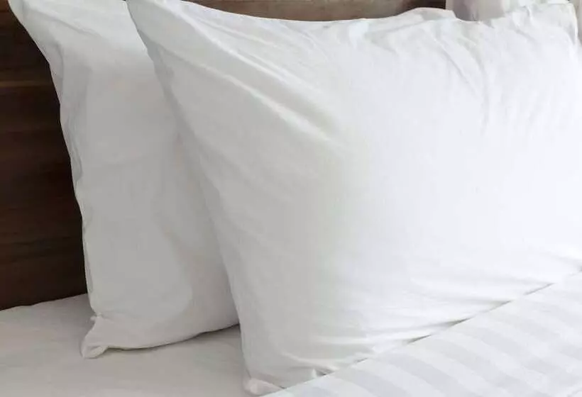 בית מלון כפרי Knights Inn Quincy