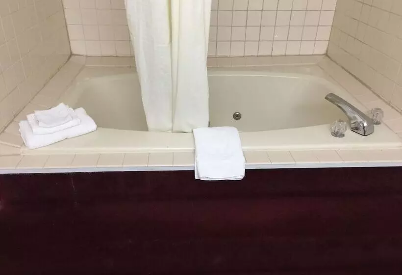 ホテル Lake Tree Inn & Suites