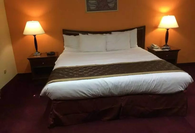 ホテル Lake Tree Inn & Suites