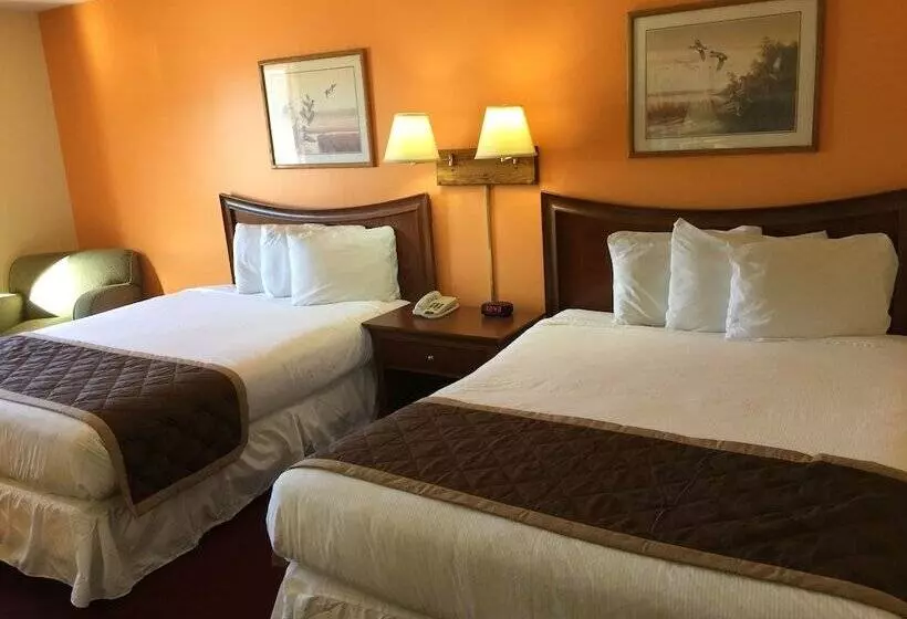 ホテル Lake Tree Inn & Suites