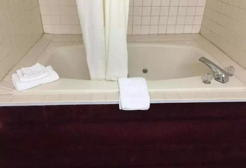 ホテル Lake Tree Inn & Suites