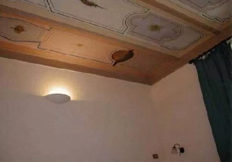 בית מלון כפרי Panda