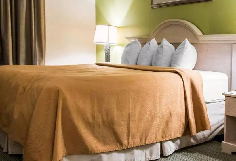 ホテル Rodeway Inn St. Helena  Beaufort South
