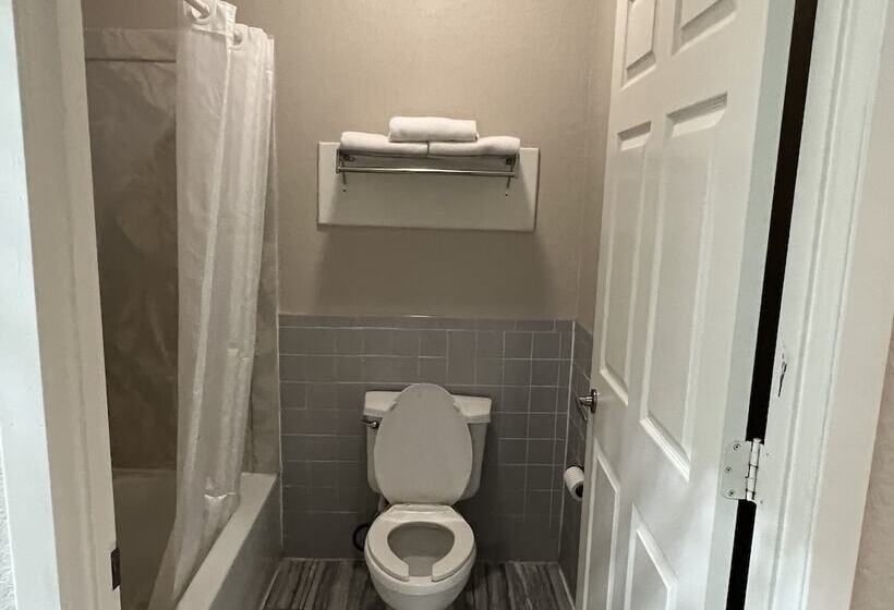 Otel Scott Inn & Suites Downtown Houston