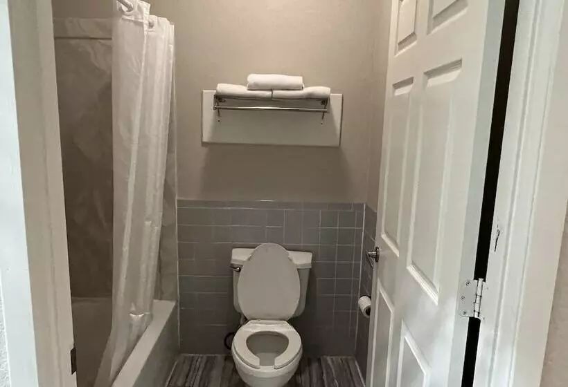 酒店 Scott Inn & Suites Downtown Houston