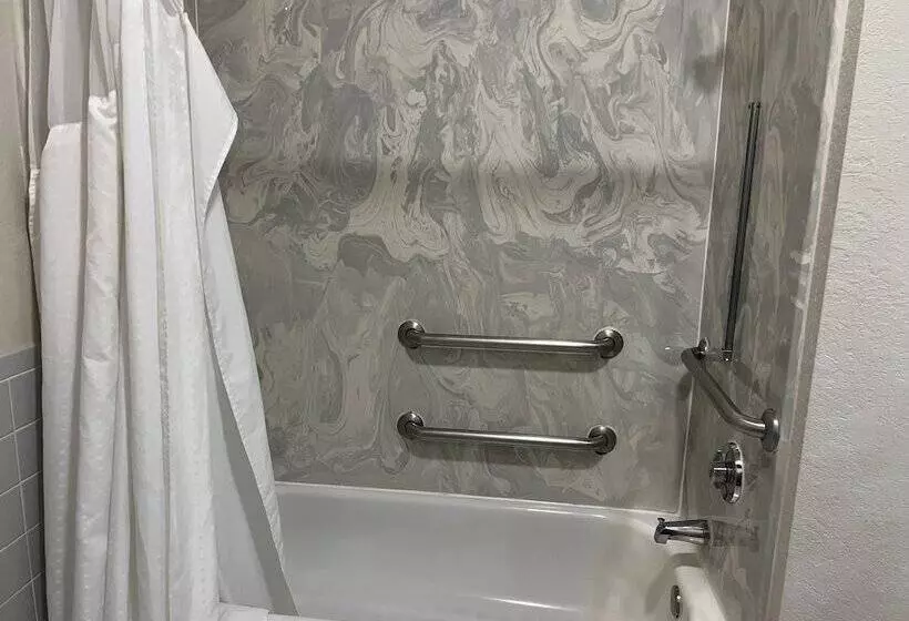 酒店 Scott Inn & Suites Downtown Houston