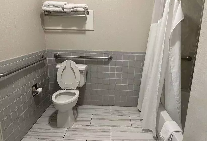 酒店 Scott Inn & Suites Downtown Houston