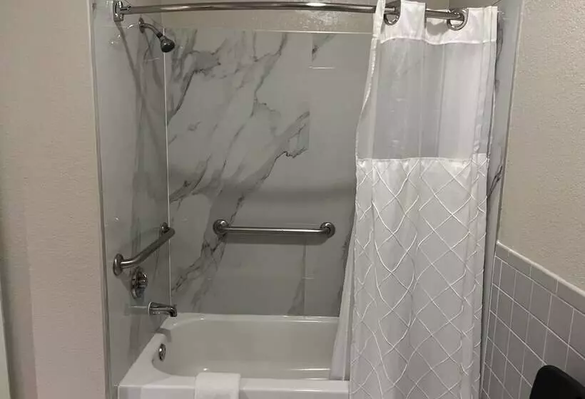 酒店 Scott Inn & Suites Downtown Houston