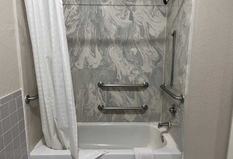 Otel Scott Inn & Suites Downtown Houston