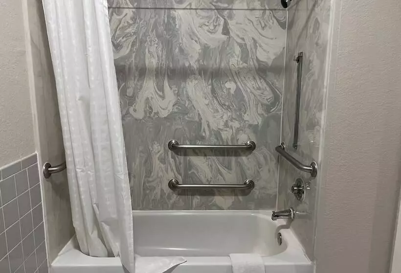 酒店 Scott Inn & Suites Downtown Houston