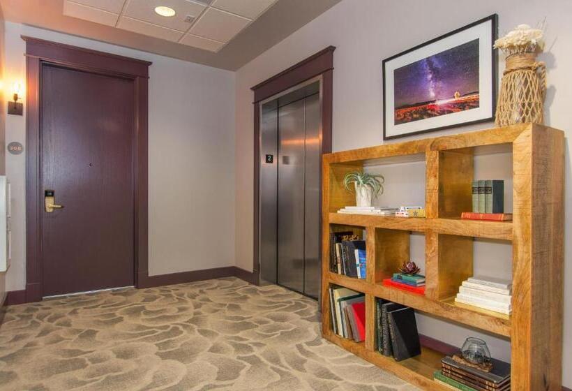 Otel The Dundee   A Trace