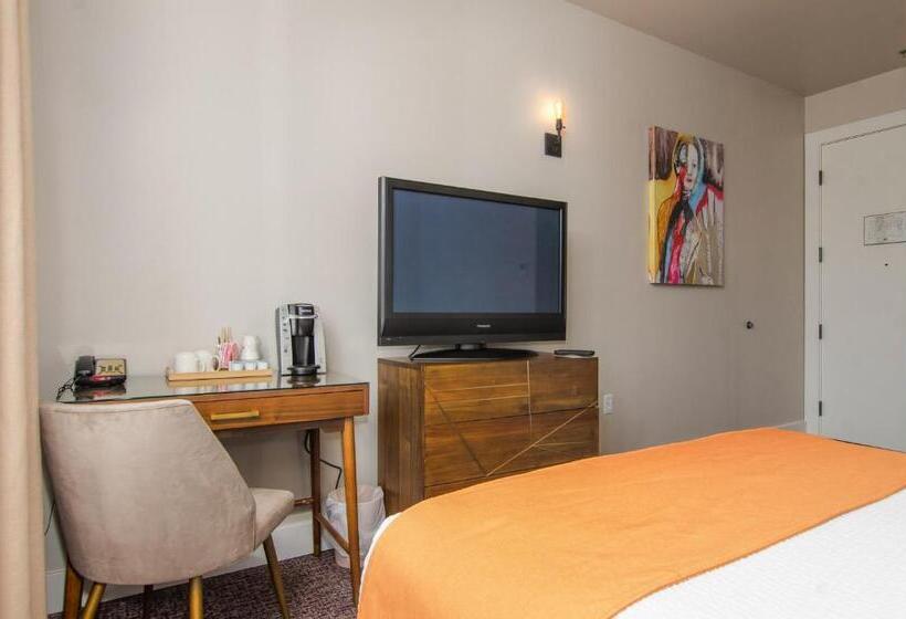 Otel The Dundee   A Trace