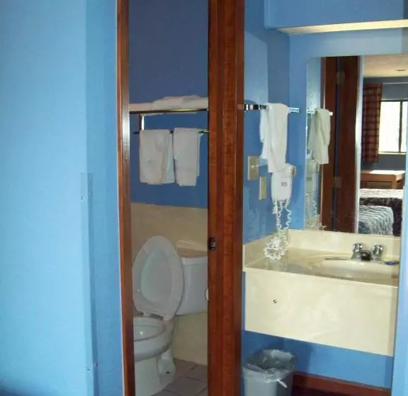 Отель Western Inn Express