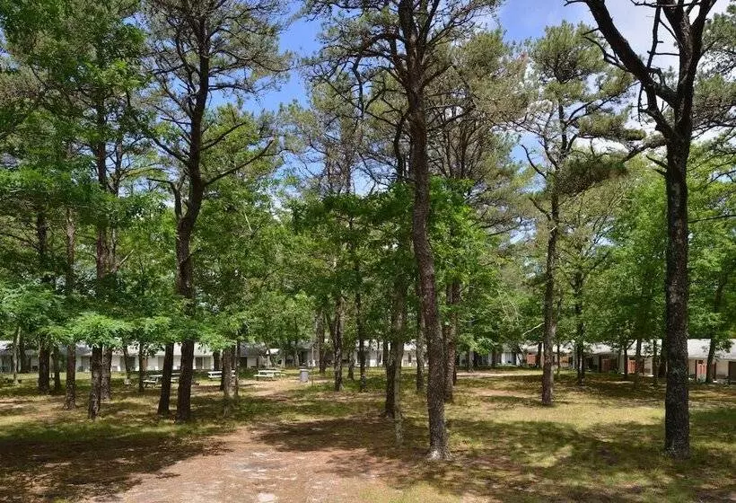 Мотель Blue Dolphin Inn