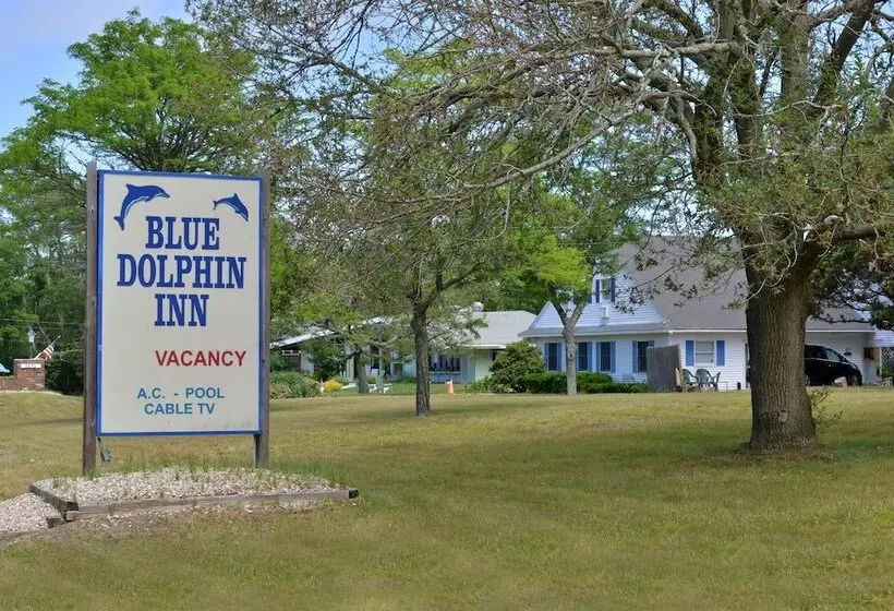 Мотель Blue Dolphin Inn