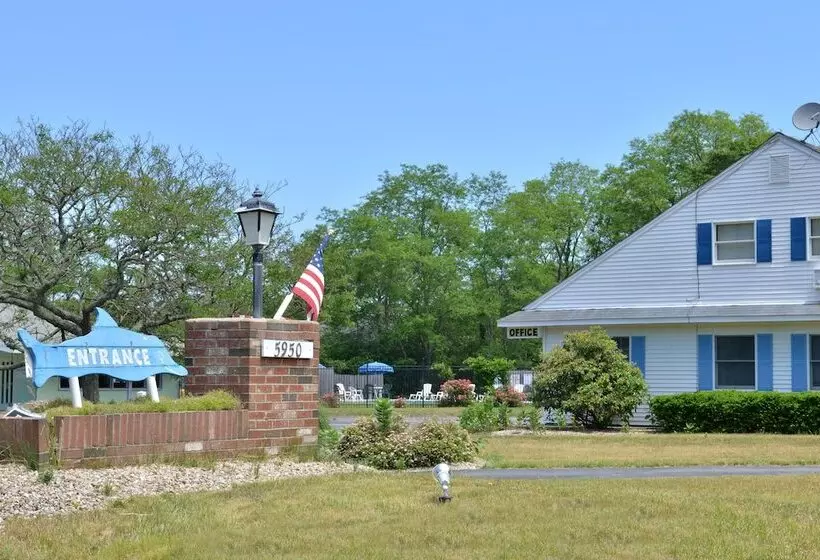 Мотель Blue Dolphin Inn