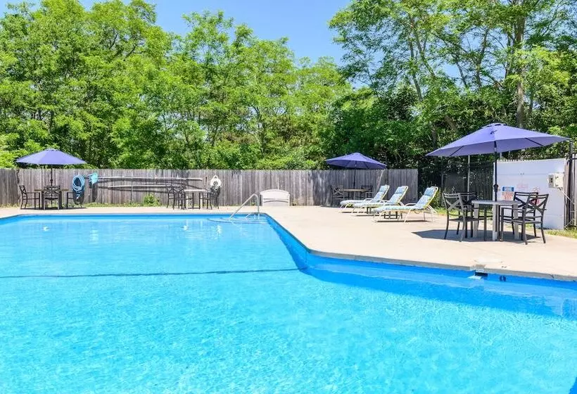 Мотель Blue Dolphin Inn