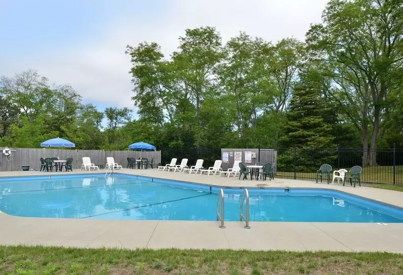 Мотель Blue Dolphin Inn