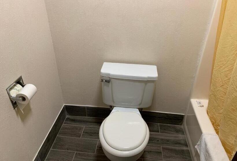 汽车旅馆  Budget Inn Elkmont