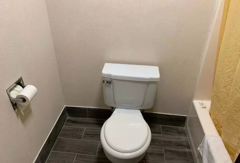 汽车旅馆  Budget Inn Elkmont