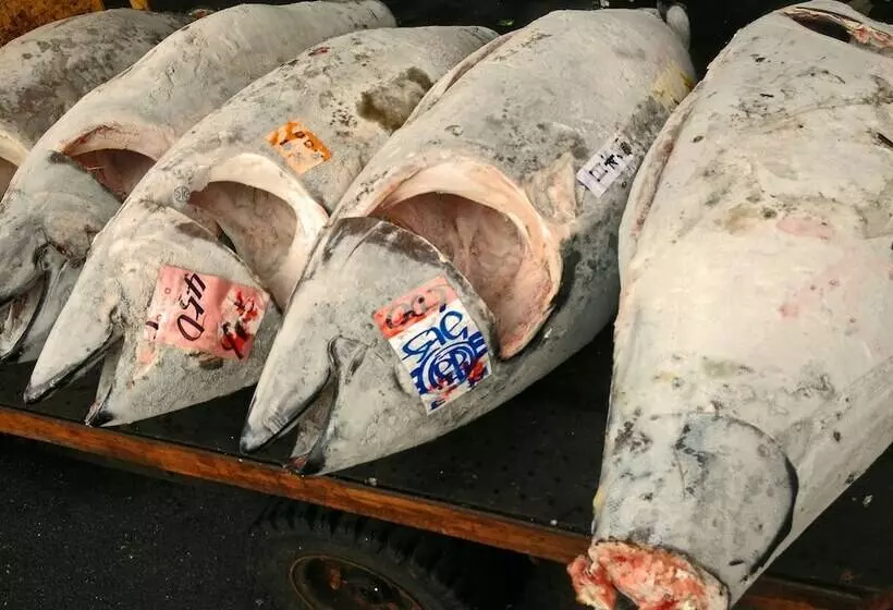 Apa Hotel Tsukiji Eki Minami