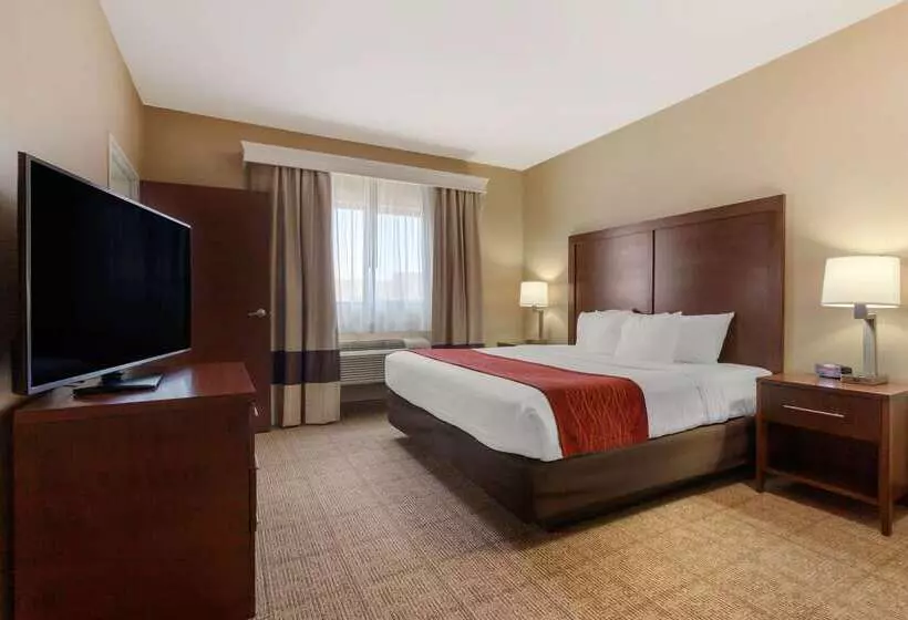 酒店 Comfort Inn & Suites Page At Lake Powell