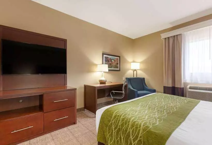 酒店 Comfort Inn & Suites Page At Lake Powell