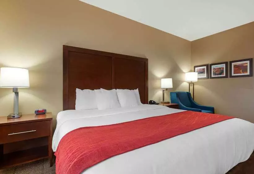 酒店 Comfort Inn & Suites Page At Lake Powell