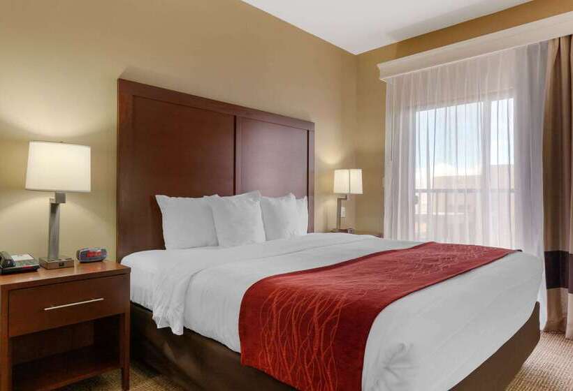 בית מלון כפרי Comfort Inn & Suites Page At Lake Powell