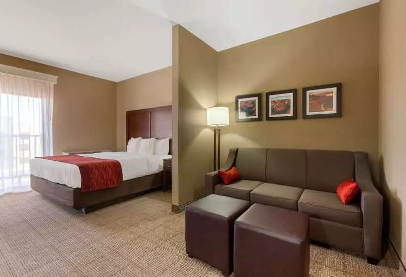 酒店 Comfort Inn & Suites Page At Lake Powell