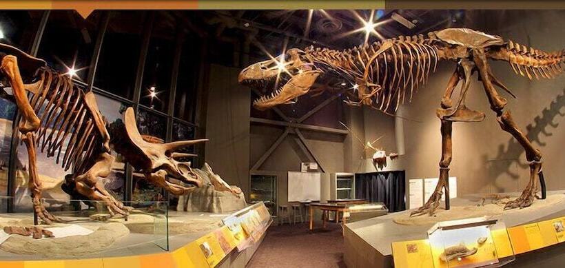 فندق Everspring Suites