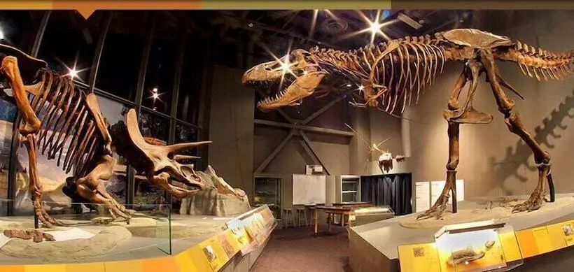 Hotel Everspring Suites