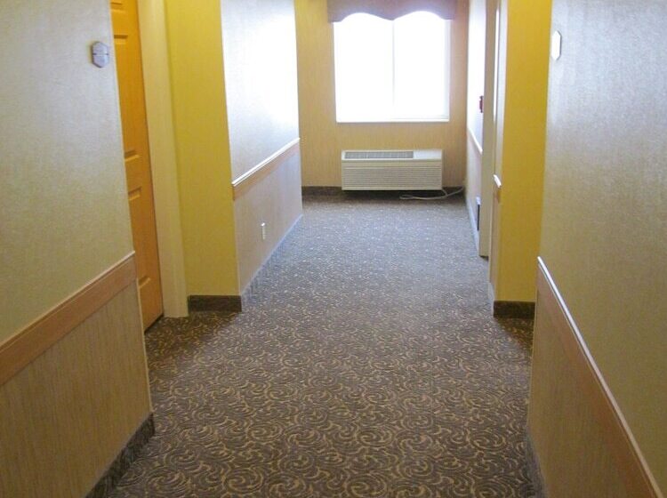 فندق Everspring Suites