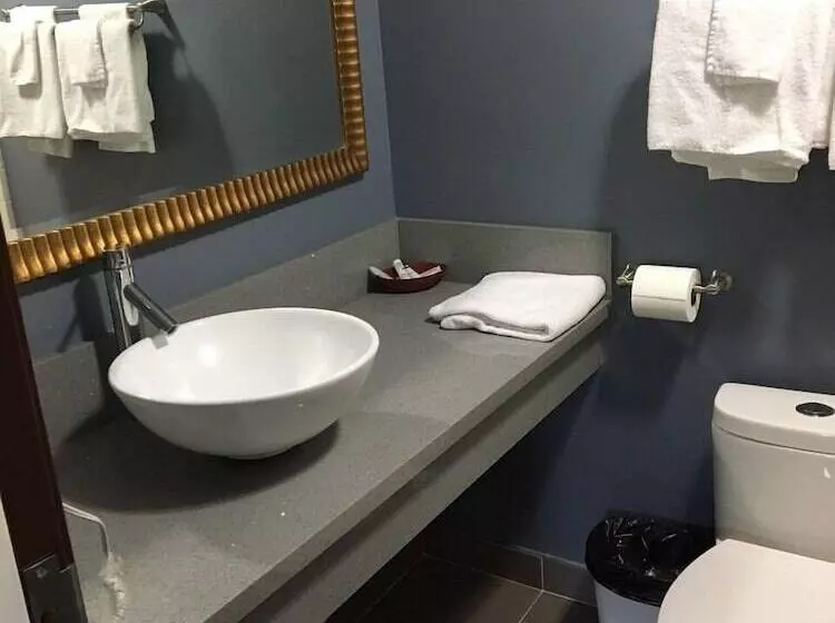 ホテル Hollywood Palms Inns & Suites