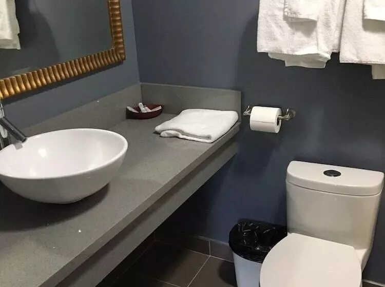 ホテル Hollywood Palms Inns & Suites