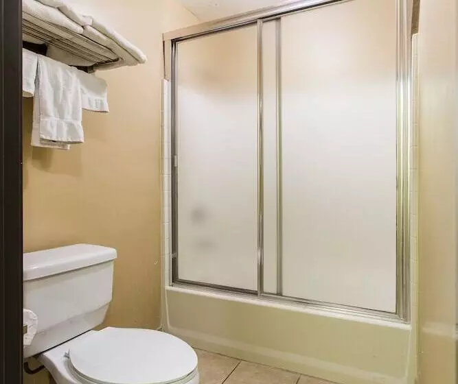 ホテル Hollywood Palms Inns & Suites