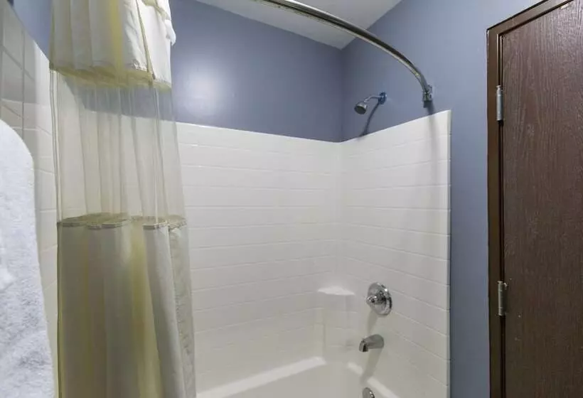 ホテル Hollywood Palms Inns & Suites