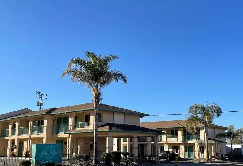 汽车旅馆  Dune Surfer Inn