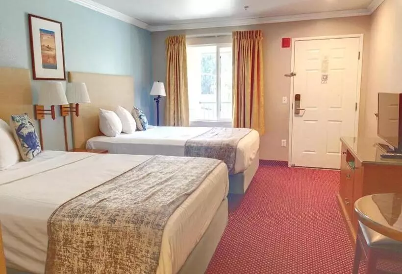 汽车旅馆  Dune Surfer Inn