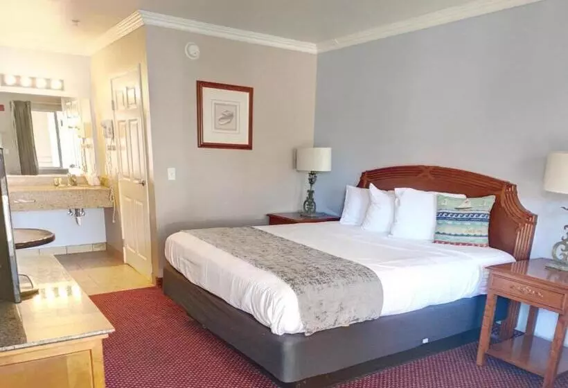 汽车旅馆  Dune Surfer Inn