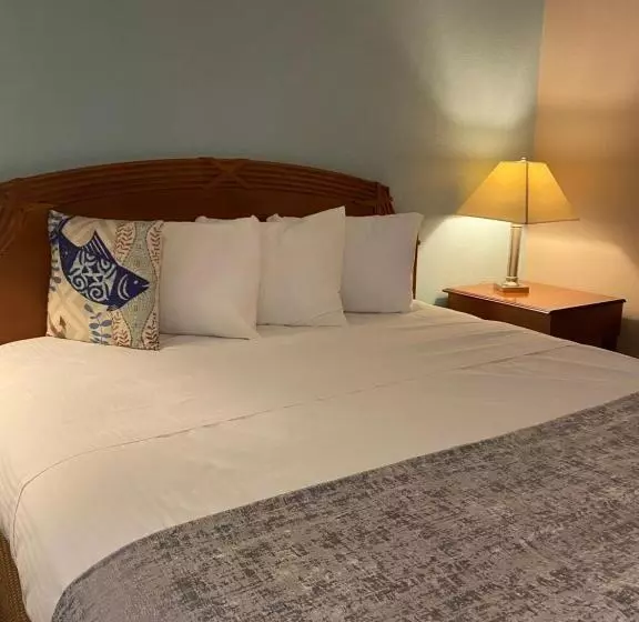 汽车旅馆  Dune Surfer Inn