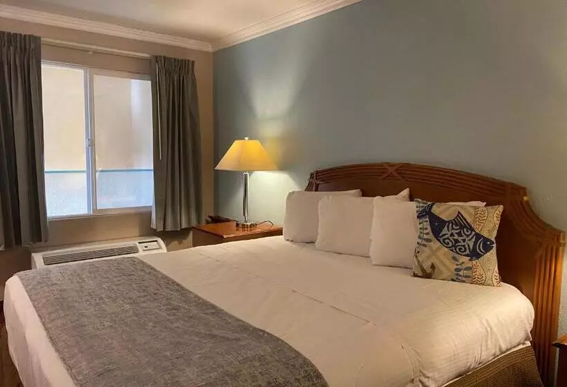 汽车旅馆  Dune Surfer Inn