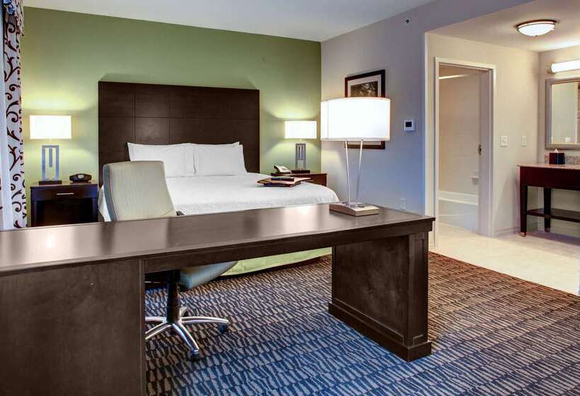 Hampton Inn & Suites Baton Rouge Downtown
