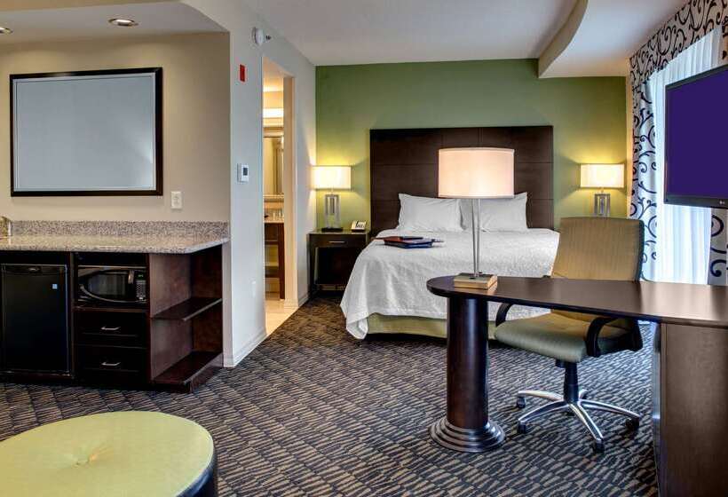 Hampton Inn & Suites Baton Rouge Downtown