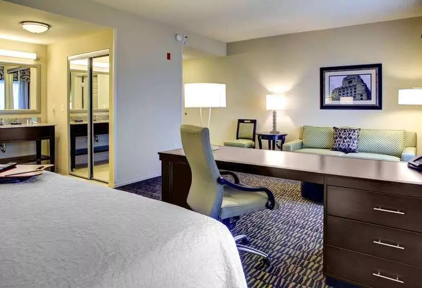 Hampton Inn & Suites Baton Rouge Downtown