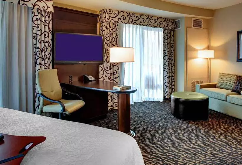 Hampton Inn & Suites Baton Rouge Downtown