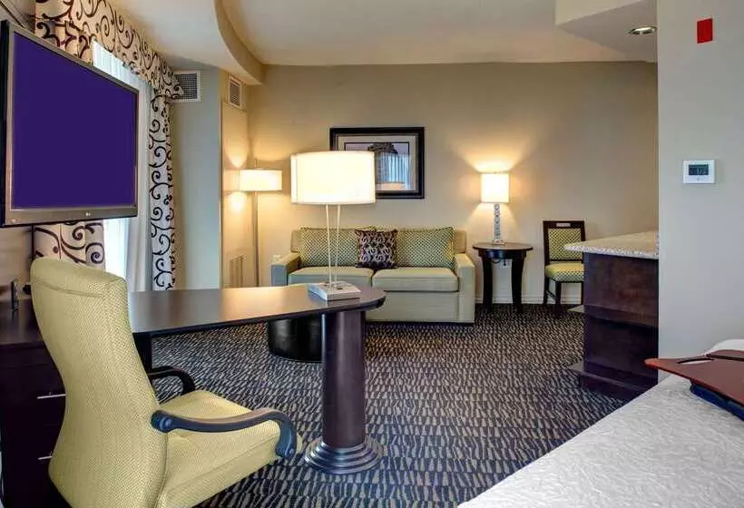 Hampton Inn & Suites Baton Rouge Downtown